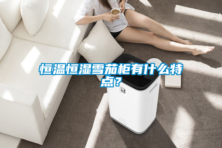 恒溫恒濕雪茄柜有什么特點？