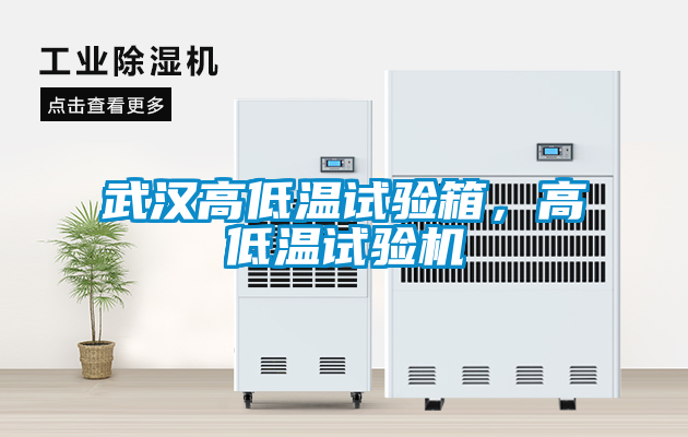 武漢高低溫試驗(yàn)箱，高低溫試驗(yàn)機(jī)