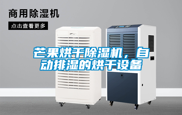 芒果烘干除濕機，自動排濕的烘干設(shè)備