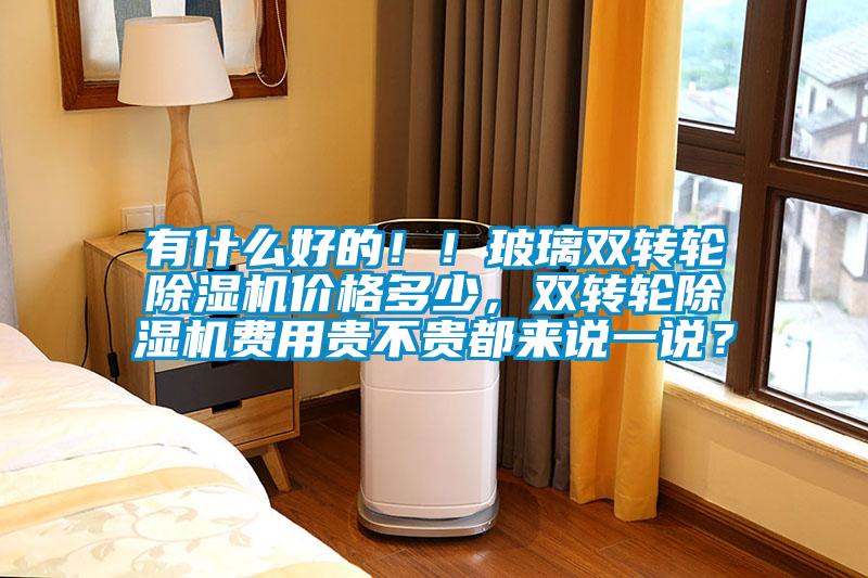 有什么好的??！玻璃雙轉(zhuǎn)輪除濕機(jī)價格多少，雙轉(zhuǎn)輪除濕機(jī)費(fèi)用貴不貴都來說一說？