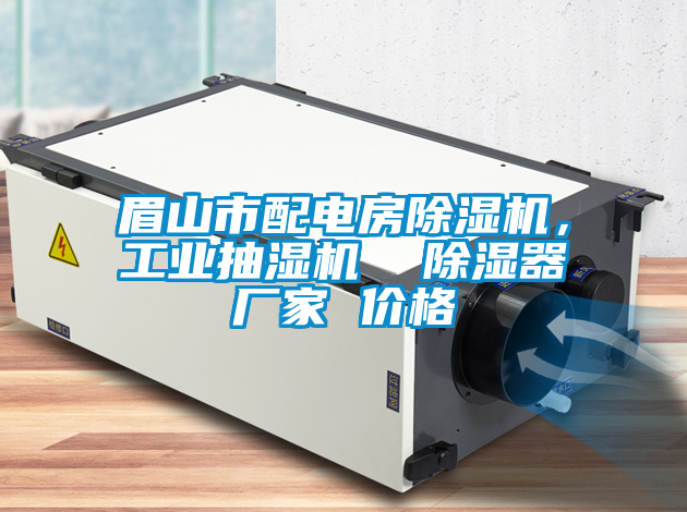 眉山市配電房除濕機(jī)，工業(yè)抽濕機(jī)  除濕器廠家 價(jià)格