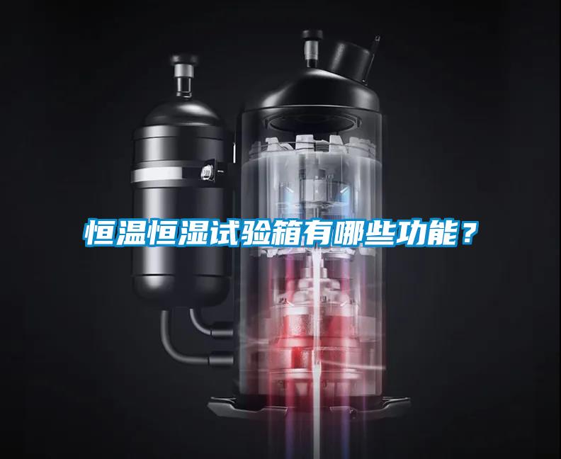 恒溫恒濕試驗(yàn)箱有哪些功能？