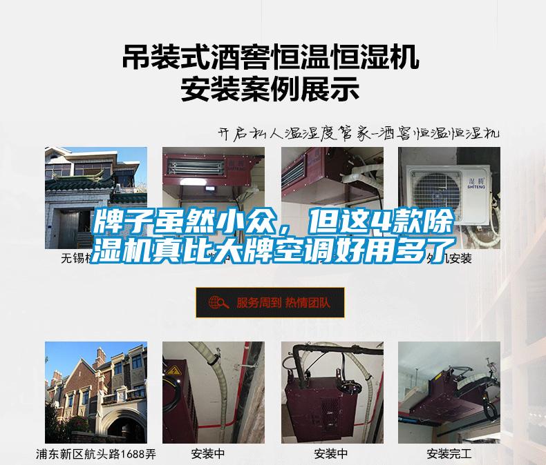 牌子雖然小眾，但這4款除濕機真比大牌空調好用多了