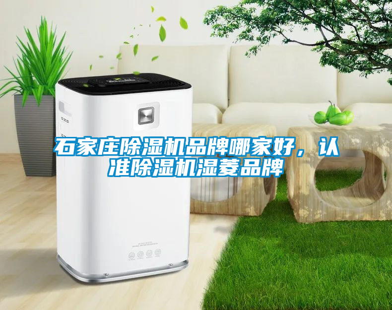 石家莊除濕機(jī)品牌哪家好，認(rèn)準(zhǔn)除濕機(jī)濕菱品牌