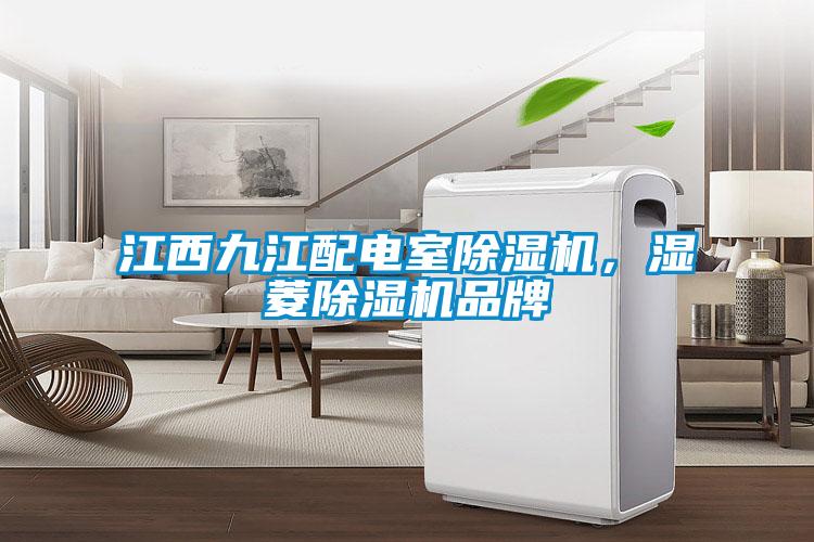 江西九江配電室除濕機，濕菱除濕機品牌
