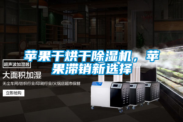 蘋果干烘干除濕機(jī)，蘋果滯銷新選擇