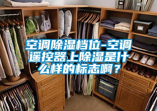 空調(diào)除濕檔位-空調(diào)遙控器上除濕是什么樣的標志??？