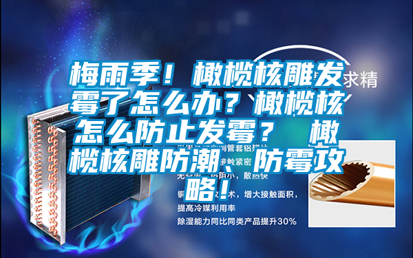 梅雨季！橄欖核雕發(fā)霉了怎么辦？橄欖核怎么防止發(fā)霉？ 橄欖核雕防潮、防霉攻略！