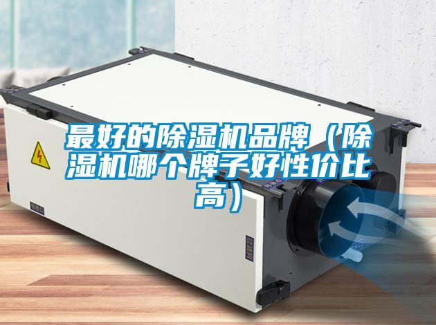 最好的除濕機(jī)品牌（除濕機(jī)哪個(gè)牌子好性?xún)r(jià)比高）