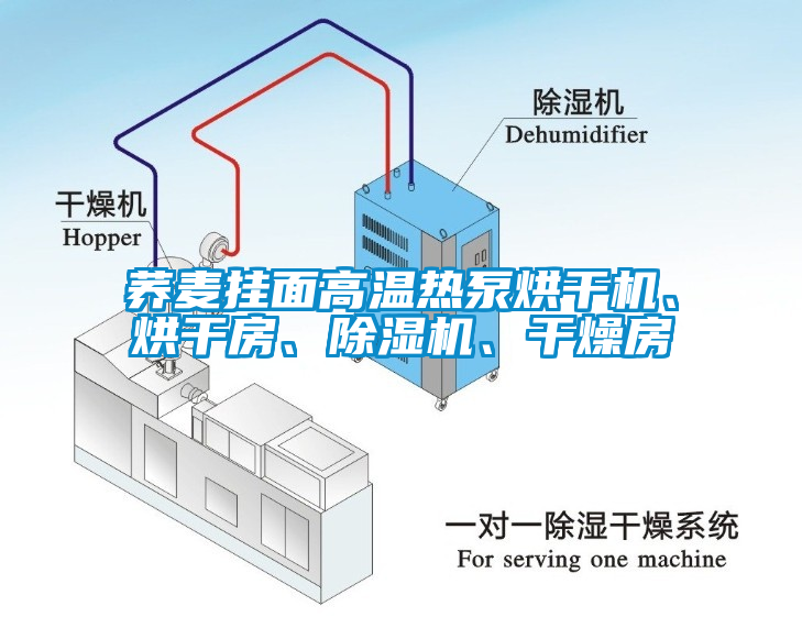 蕎麥掛面高溫?zé)岜煤娓蓹C(jī)、烘干房、除濕機(jī)、干燥房