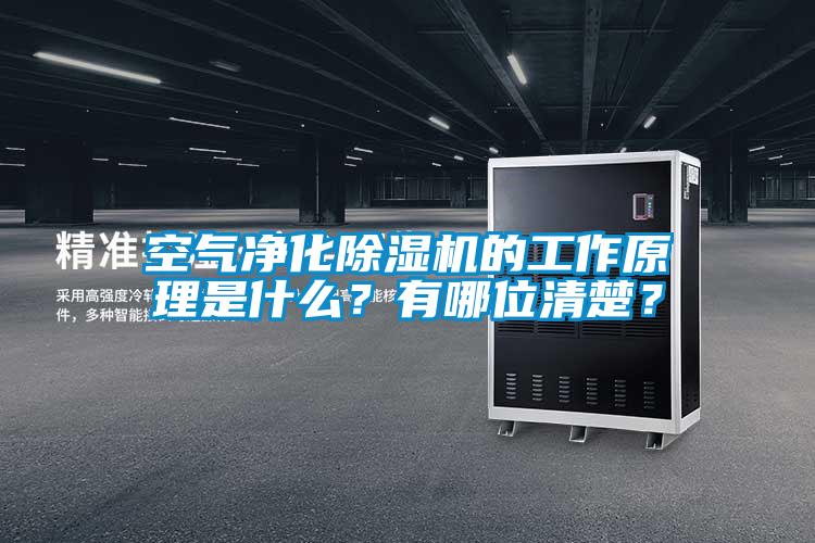 空氣凈化除濕機(jī)的工作原理是什么？有哪位清楚？