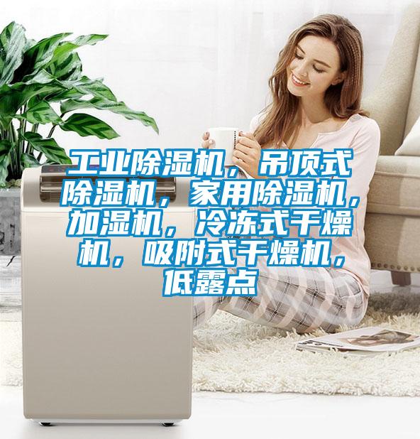 工業(yè)除濕機(jī)，吊頂式除濕機(jī)，家用除濕機(jī)，加濕機(jī)，冷凍式干燥機(jī)，吸附式干燥機(jī)，低露點(diǎn)