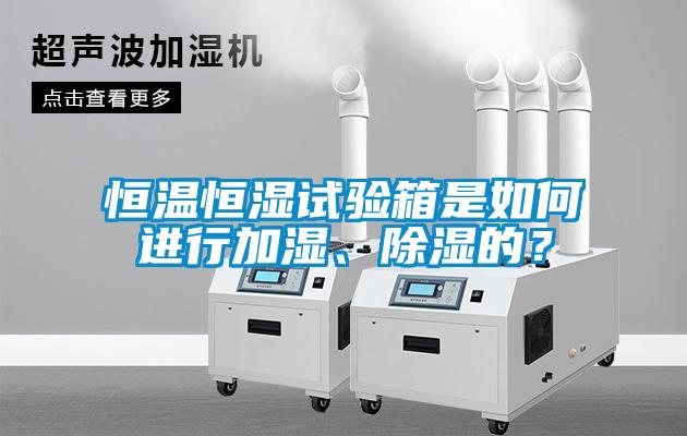 恒溫恒濕試驗(yàn)箱是如何進(jìn)行加濕、除濕的？