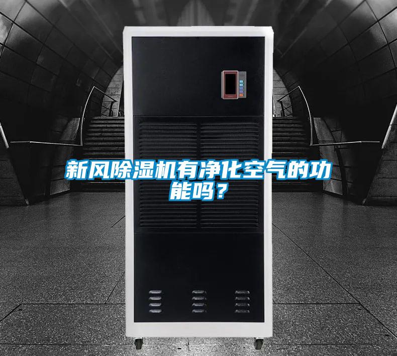 新風(fēng)除濕機(jī)有凈化空氣的功能嗎？