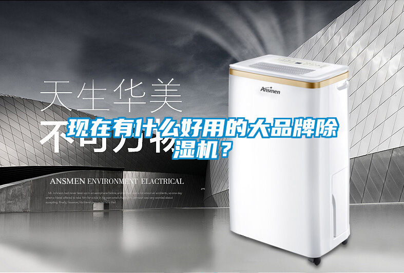 現(xiàn)在有什么好用的大品牌除濕機(jī)？