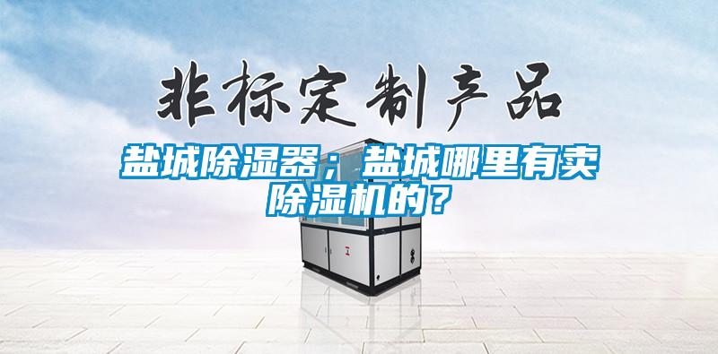 鹽城除濕器；鹽城哪里有賣除濕機(jī)的？