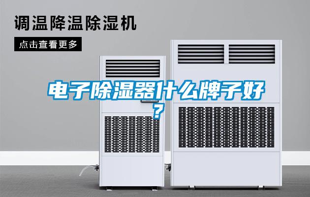 電子除濕器什么牌子好？