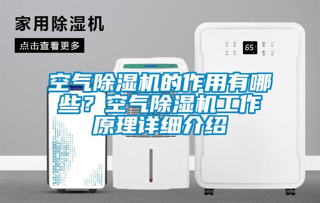 空氣除濕機的作用有哪些？空氣除濕機工作原理詳細介紹