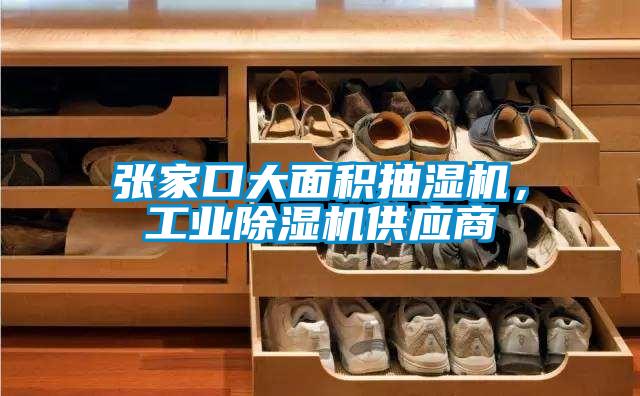 張家口大面積抽濕機(jī)，工業(yè)除濕機(jī)供應(yīng)商