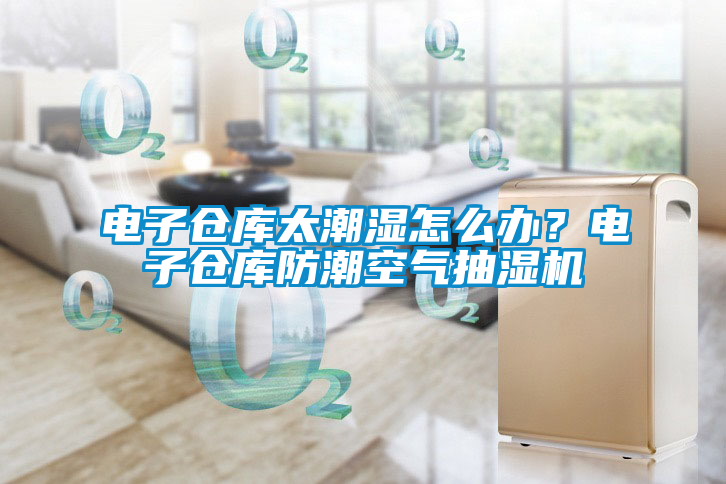 電子倉庫太潮濕怎么辦？電子倉庫防潮空氣抽濕機(jī)