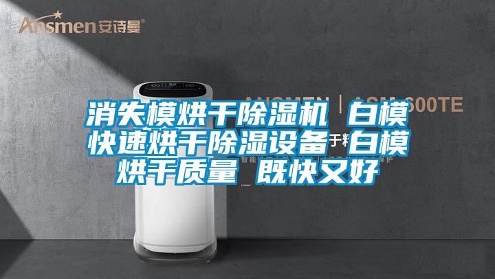 消失模烘干除濕機(jī) 白?？焖俸娓沙凉裨O(shè)備 白模烘干質(zhì)量 既快又好