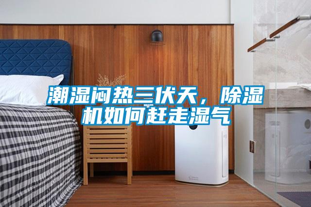 潮濕悶熱三伏天，除濕機如何趕走濕氣