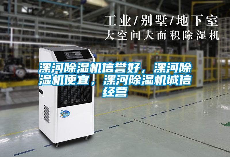 漯河除濕機(jī)信譽(yù)好，漯河除濕機(jī)便宜，漯河除濕機(jī)誠信經(jīng)營