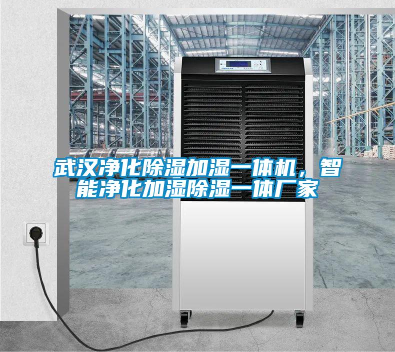 武漢凈化除濕加濕一體機(jī)，智能凈化加濕除濕一體廠家