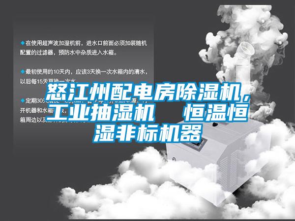 怒江州配電房除濕機(jī)，工業(yè)抽濕機(jī)  恒溫恒濕非標(biāo)機(jī)器