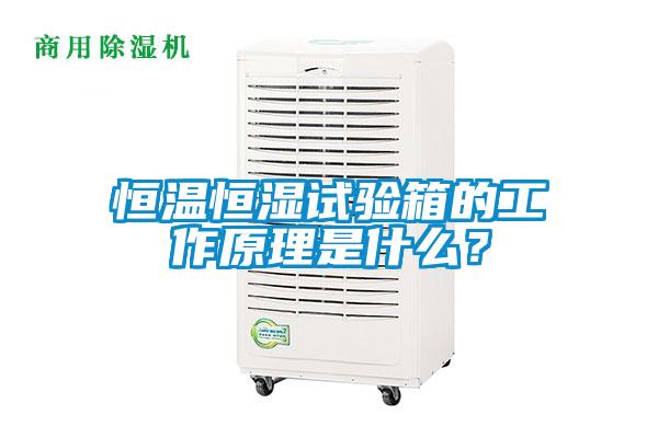 恒溫恒濕試驗(yàn)箱的工作原理是什么？