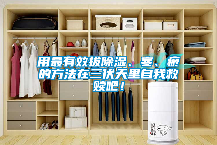 用最有效拔除濕、寒、瘀的方法在三伏天里自我救贖吧！