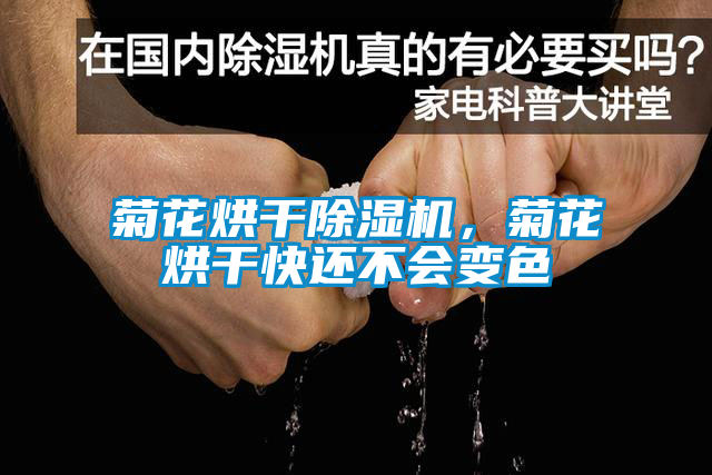 菊花烘干除濕機(jī)，菊花烘干快還不會(huì)變色