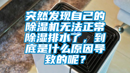 突然發(fā)現(xiàn)自己的除濕機(jī)無(wú)法正常除濕排水了，到底是什么原因?qū)е碌哪兀?/></p>
						    <p style=