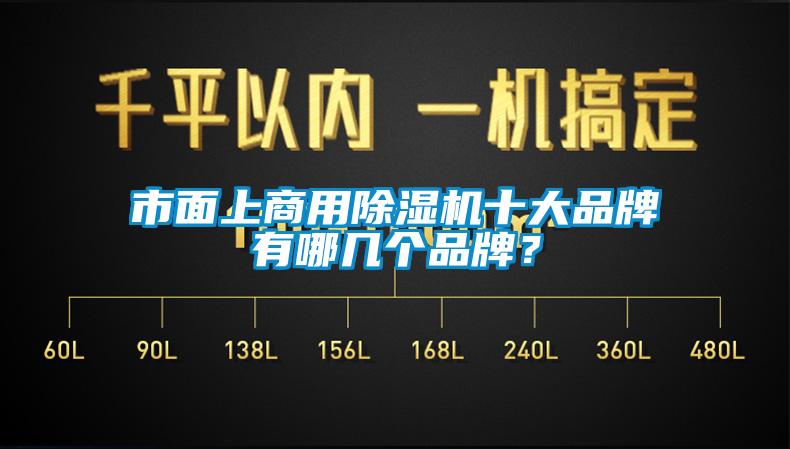市面上商用除濕機十大品牌有哪幾個品牌？