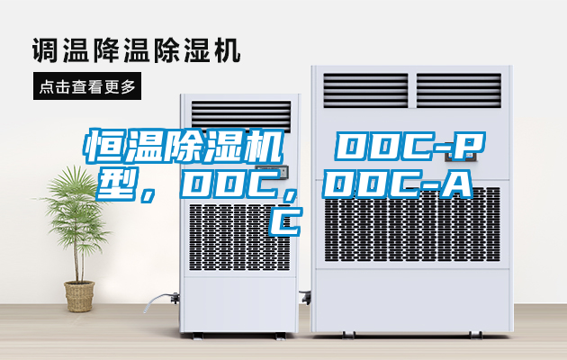 恒溫除濕機(jī)  DDC-P型，DDC，DDC-AC