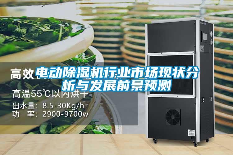 電動除濕機行業(yè)市場現(xiàn)狀分析與發(fā)展前景預測