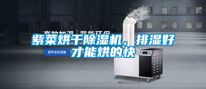 紫菜烘干除濕機(jī)，排濕好才能烘的快