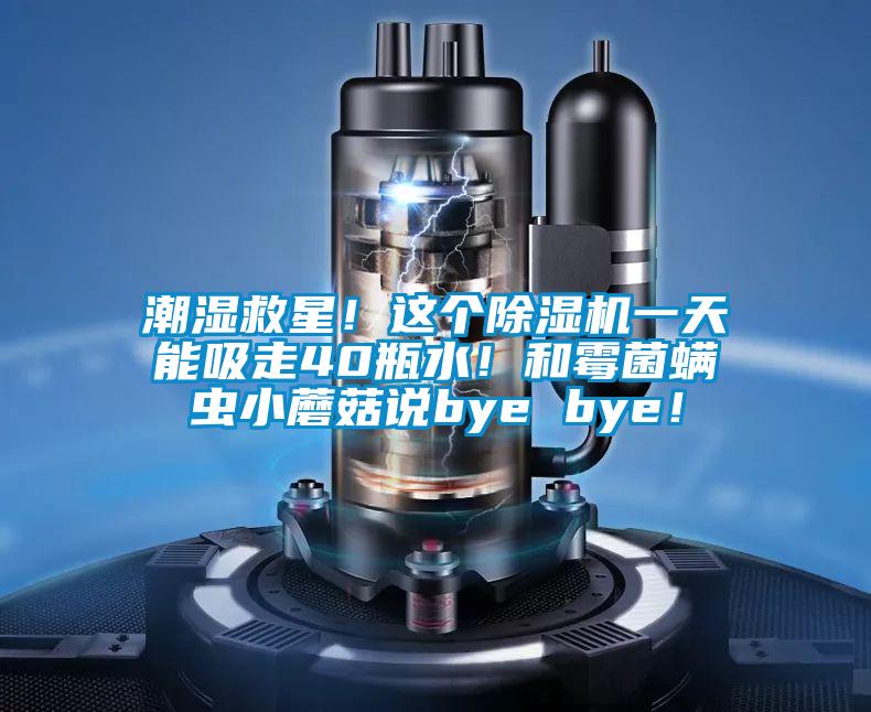 潮濕救星！這個(gè)除濕機(jī)一天能吸走40瓶水！和霉菌螨蟲(chóng)小蘑菇說(shuō)bye bye！