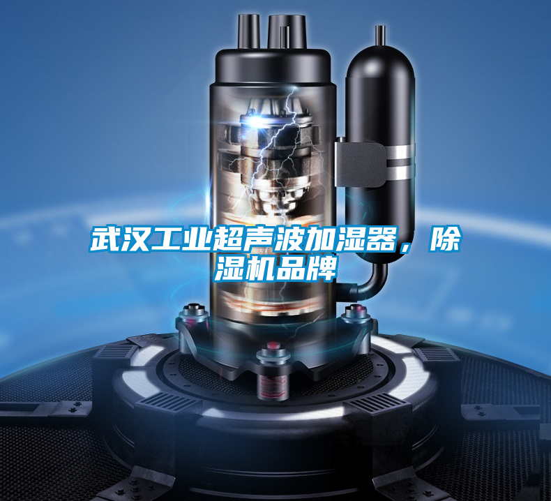 武漢工業(yè)超聲波加濕器，除濕機品牌