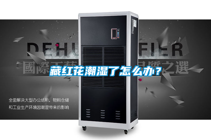 藏紅花潮濕了怎么辦？