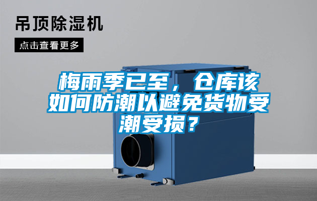 梅雨季已至，倉(cāng)庫(kù)該如何防潮以避免貨物受潮受損？