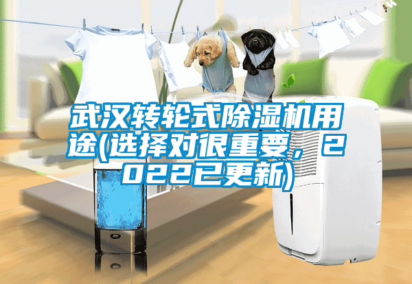 武漢轉(zhuǎn)輪式除濕機用途(選擇對很重要，2022已更新)