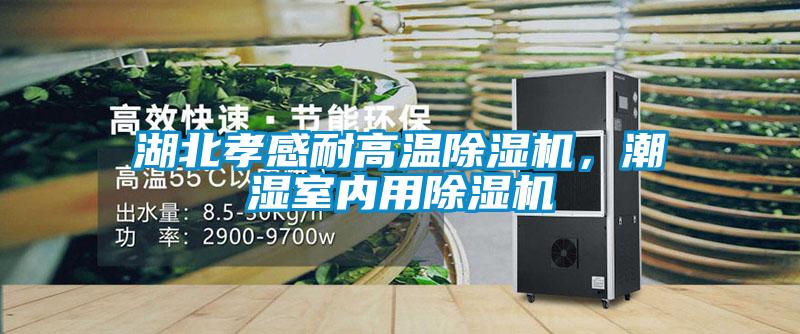 湖北孝感耐高溫除濕機(jī)，潮濕室內(nèi)用除濕機(jī)