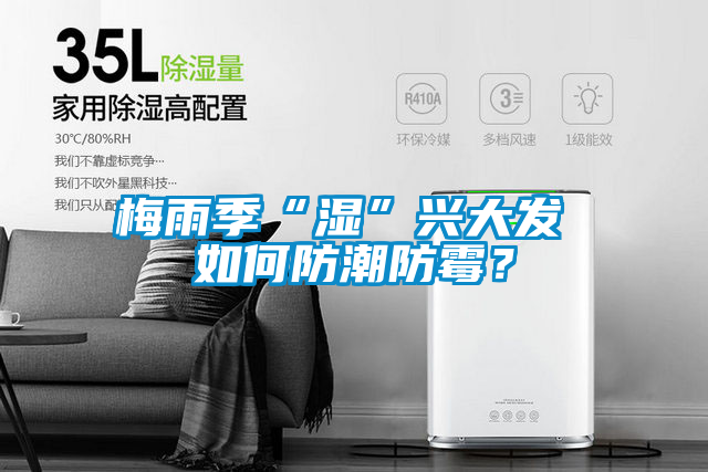 梅雨季“濕”興大發(fā) 如何防潮防霉？