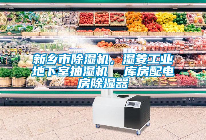 新鄉(xiāng)市除濕機，濕菱工業(yè)地下室抽濕機  庫房配電房除濕器