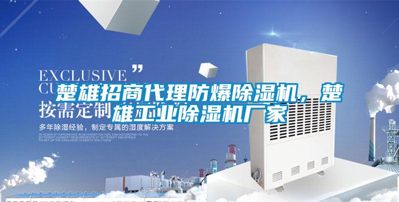 楚雄招商代理防爆除濕機(jī)，楚雄工業(yè)除濕機(jī)廠家