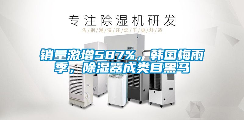 銷量激增587%，韓國(guó)梅雨季，除濕器成類目黑馬