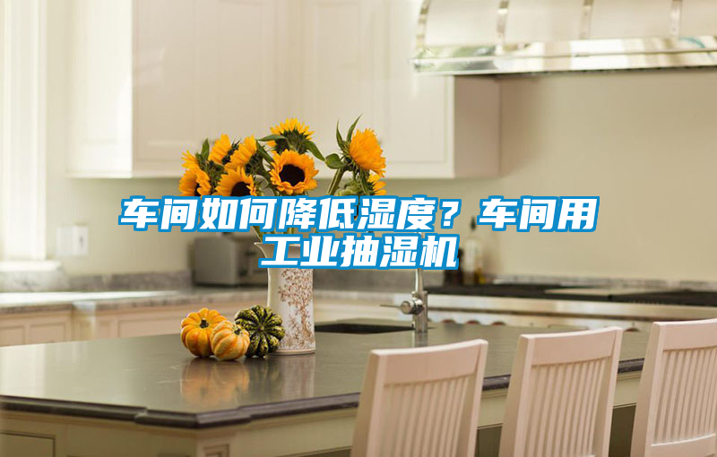 車間如何降低濕度？車間用工業(yè)抽濕機
