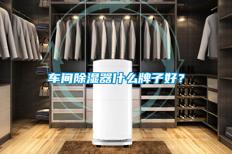 車間除濕器什么牌子好？