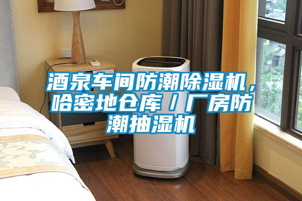 酒泉車間防潮除濕機(jī)，哈密地倉庫／廠房防潮抽濕機(jī)